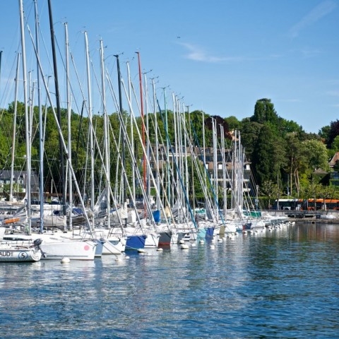Конференция в Женеве и парусная регата на Женевском озере